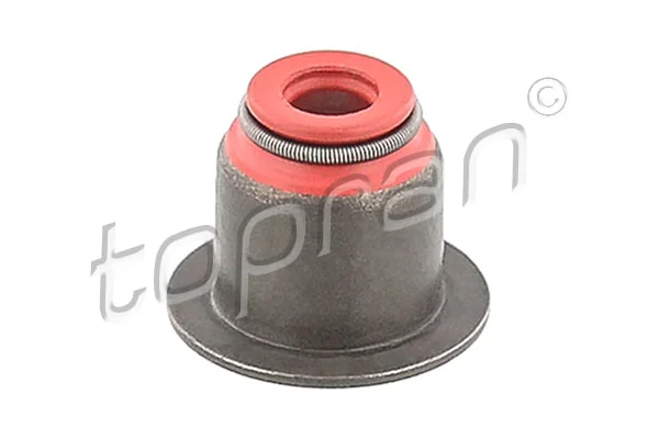 Seal Ring, valve stem