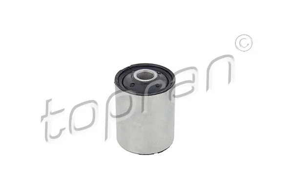 Bushing, leaf spring