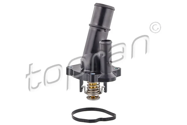 Thermostat, coolant