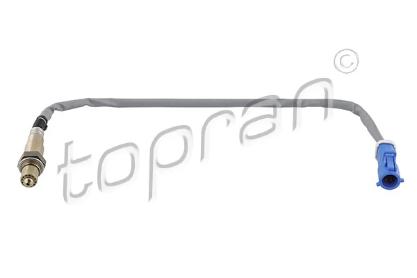 Oxygen Sensor