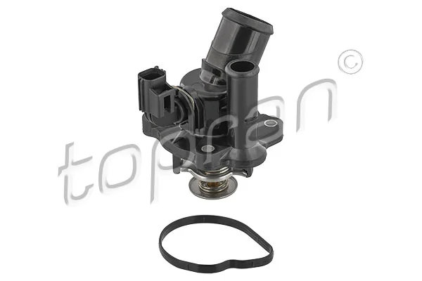 Thermostat, coolant