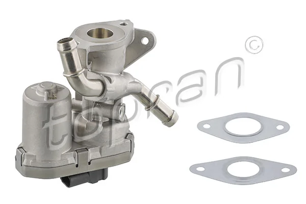 EGR Valve