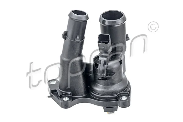 Thermostat, coolant