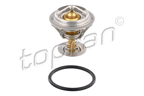 Thermostat, coolant