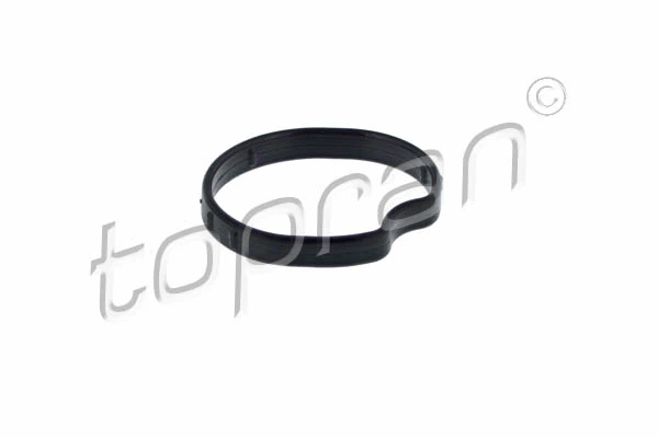Gasket, thermostat housing