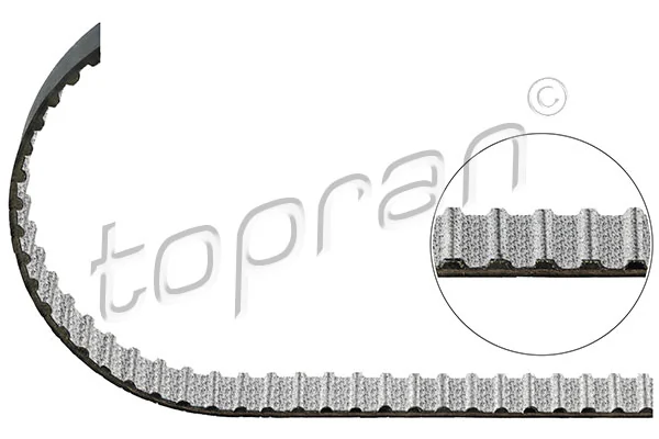 Timing Belt