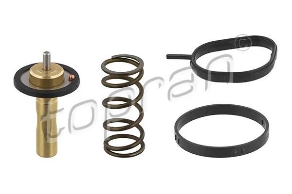 Thermostat, coolant