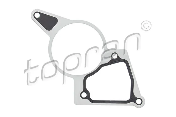 Gasket, vacuum pump