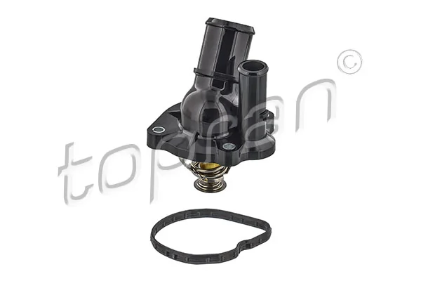 Thermostat, coolant