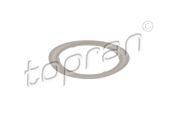 Gasket, EGR valve