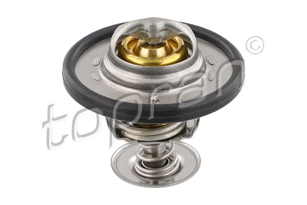 Thermostat, coolant