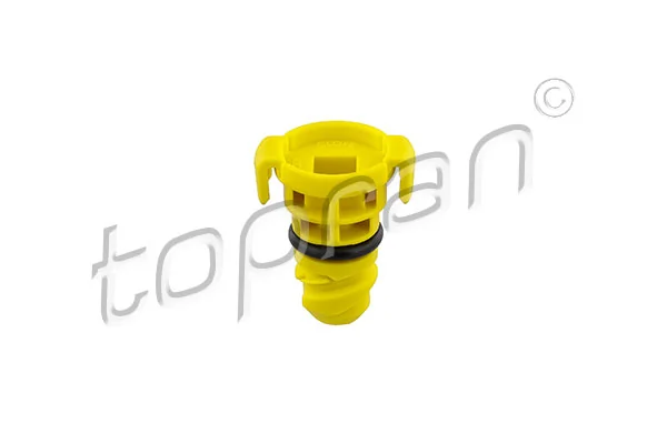Screw Plug, oil sump