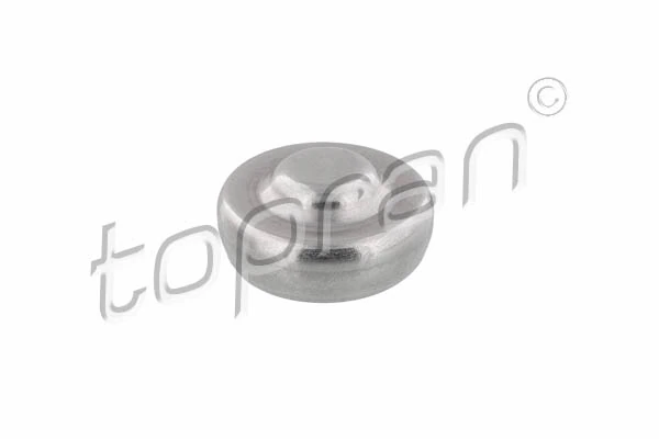 Plug, rocker arm shaft mounting bore
