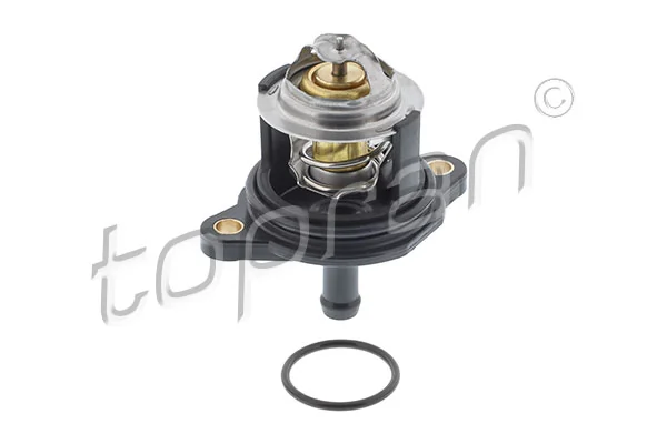 Thermostat, coolant