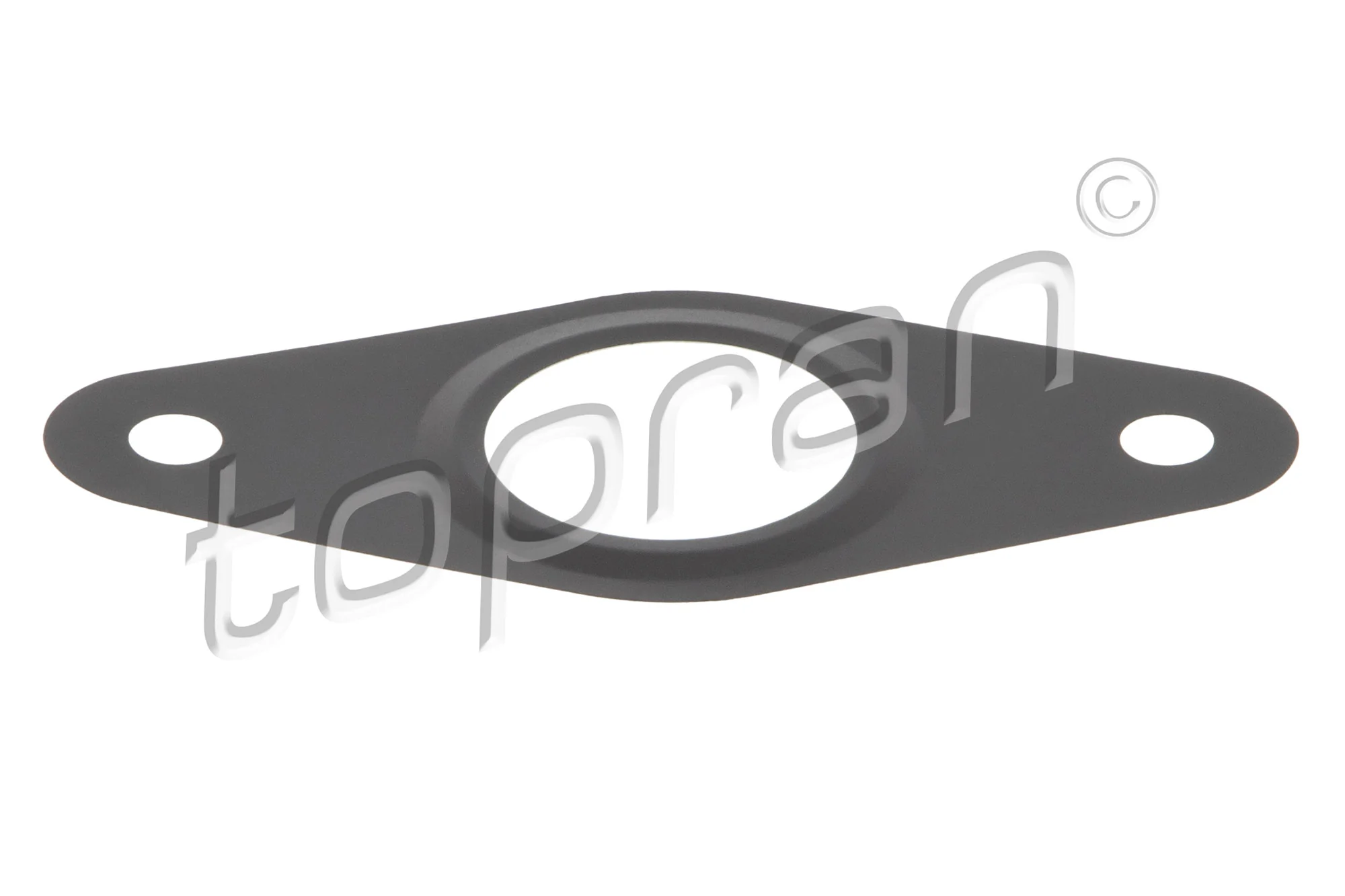Gasket, EGR valve