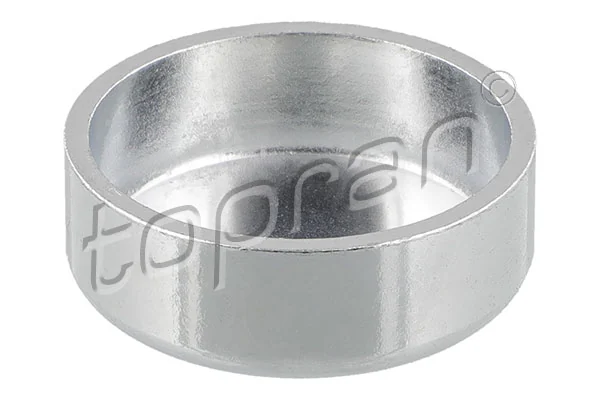 Frost Plug
