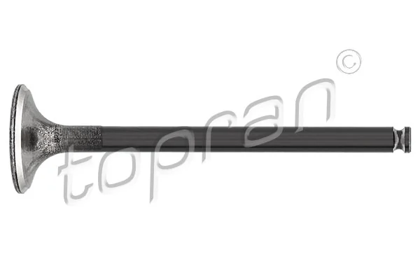Exhaust Valve