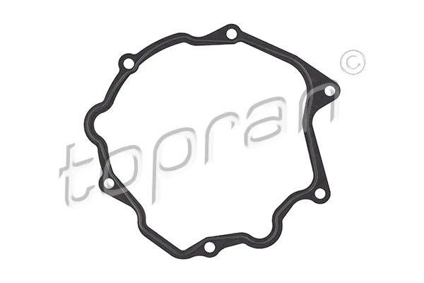 Gasket, vacuum pump