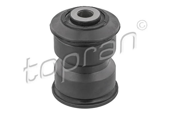Bushing, leaf spring