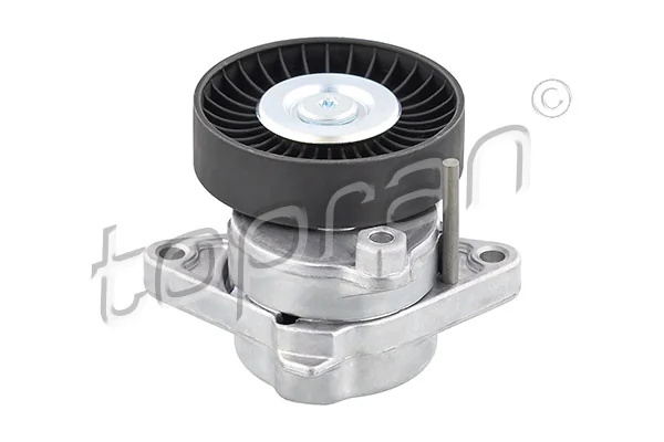 Belt Tensioner, V-ribbed belt