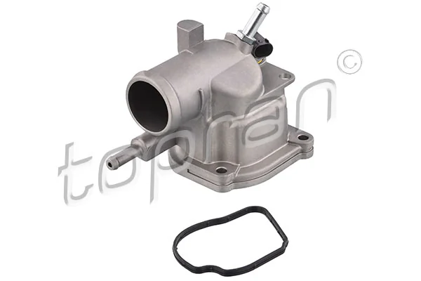 Thermostat, coolant