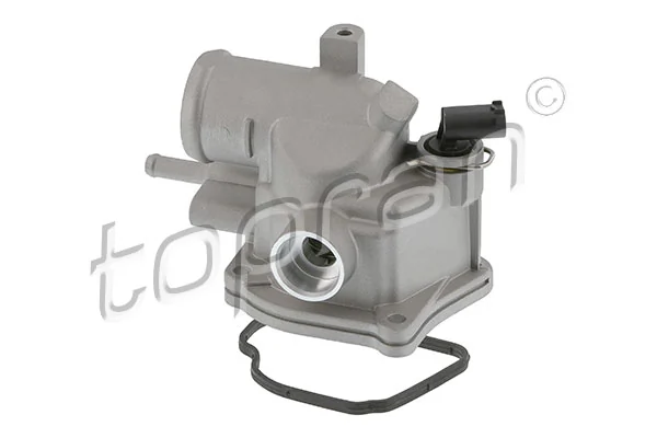 Thermostat, coolant