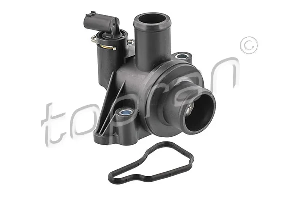 Thermostat, coolant