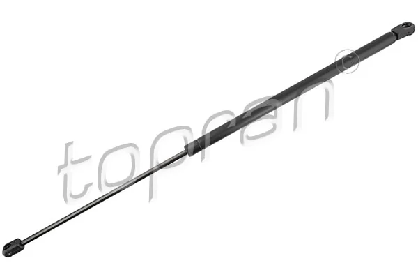 Gas Spring, boot/cargo area