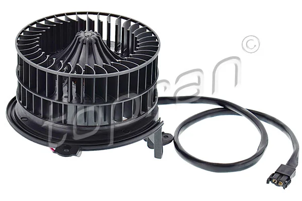 Interior Blower
