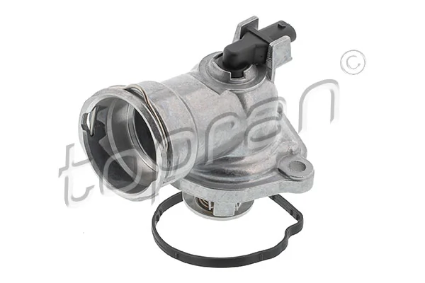 Thermostat, coolant
