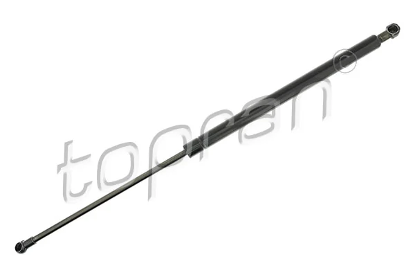 Gas Spring, boot/cargo area
