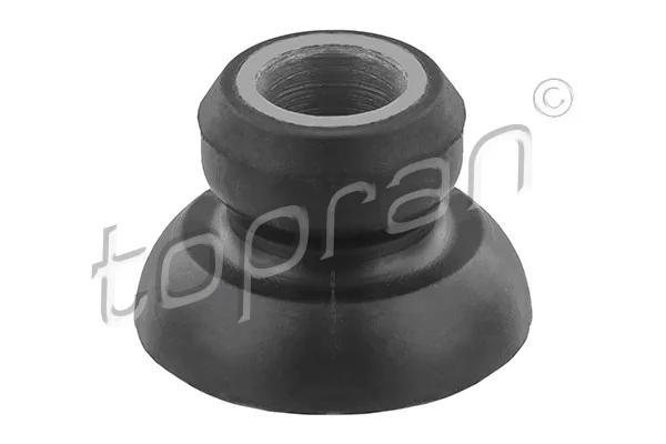 Mounting, steering gear