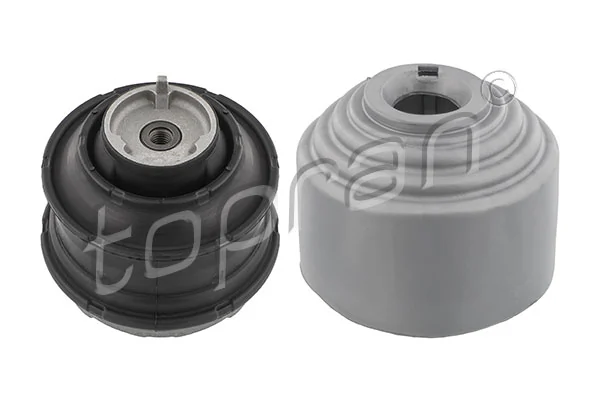 Mounting, engine