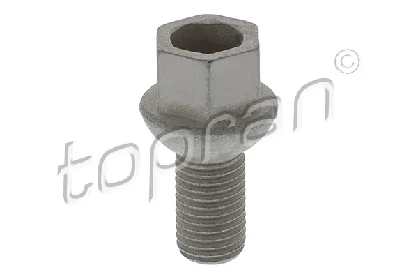 Wheel Bolt