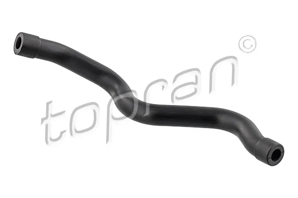 Hose, cylinder head cover ventilation