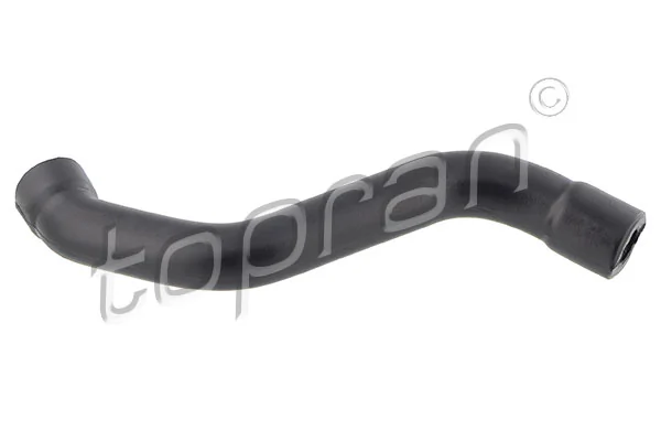 Hose, cylinder head cover ventilation