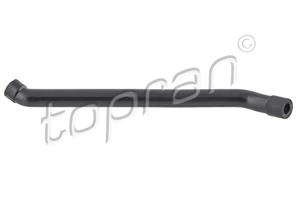 Hose, cylinder head cover ventilation