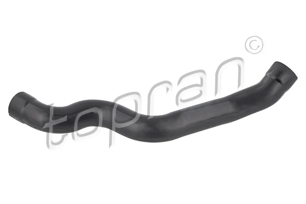 Hose, cylinder head cover ventilation