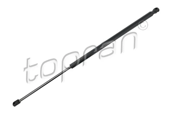Gas Spring, boot/cargo area