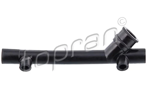 Hose, cylinder head cover ventilation
