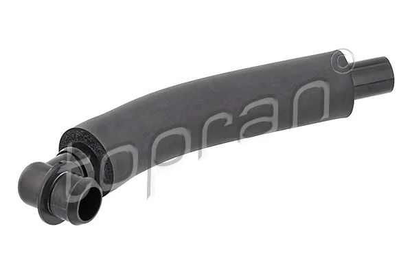 Hose, cylinder head cover ventilation