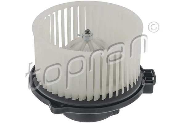 Interior Blower