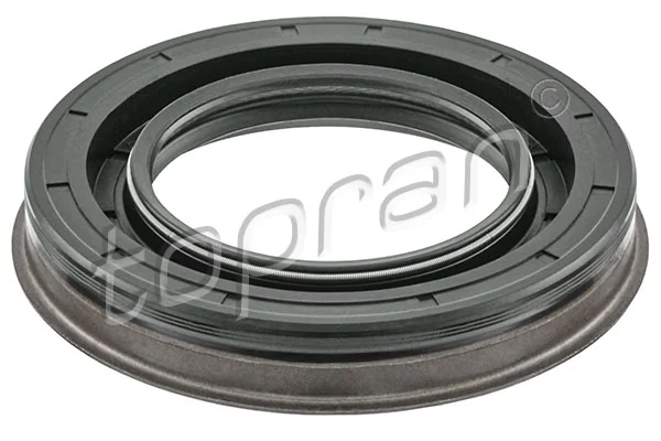 Shaft Seal, differential
