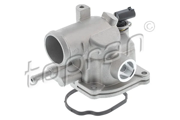 Thermostat, coolant