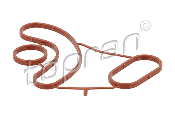 Gasket, oil cooler
