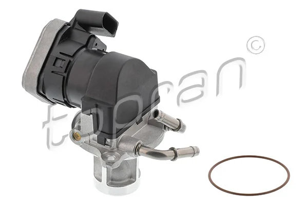 EGR Valve