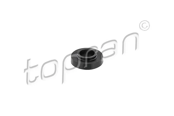 Seal Ring, cylinder head cover bolt