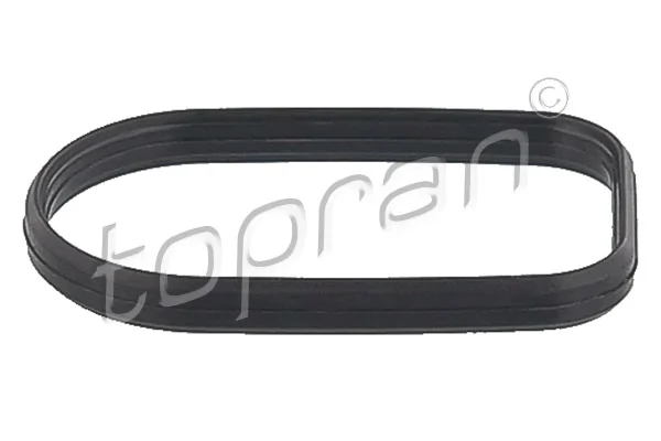 Gasket, intake manifold