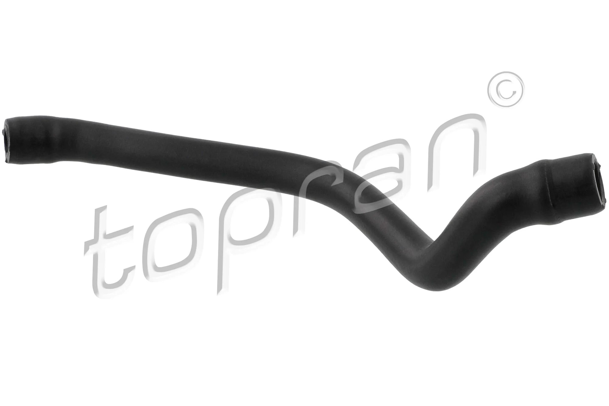 Hose, cylinder head cover ventilation