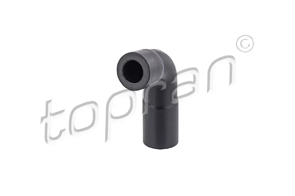 Hose, crankcase ventilation